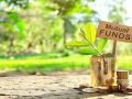 Investing in HDFC Mutual Fund: A Step-by-Step Guide - Hindi News | Investing in HDFC Mutual Fund: A Step-by-Step Guide | Latest business News at Lokmattimes.com