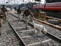 Nagpur: Thieves Beat Passenger to Death Aboard Dakshin Express, Four Arrested - Hindi News | Nagpur: Thieves Beat Passenger to Death Aboard Dakshin Express, Four Arrested | Latest maharashtra News at Lokmattimes.com