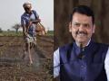 Namo Kisan Sanman Nidhi Yojana: Farmers to Receive Rs 15,000 Annually, Announces Devendra Fadnavis - Hindi News | Namo Kisan Sanman Nidhi Yojana: Farmers to Receive Rs 15,000 Annually, Announces Devendra Fadnavis | Latest maharashtra News at Lokmattimes.com