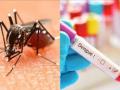 Nashik Residents Penalized for Dengue Breeding Sources as Cases Reach 198 - Hindi News | Nashik Residents Penalized for Dengue Breeding Sources as Cases Reach 198 | Latest nashik News at Lokmattimes.com