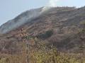 Nashik Forest Fire: Massive Blaze Erupts at Pandavleni Hills in Maharashtra (Watch Video) - Hindi News | Nashik Forest Fire: Massive Blaze Erupts at Pandavleni Hills in Maharashtra (Watch Video) | Latest nashik News at Lokmattimes.com