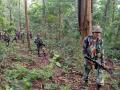 Chhattisgarh Encounter: One Naxal Killed in Gunfight With Security Forces in Sukma - Hindi News | Chhattisgarh Encounter: One Naxal Killed in Gunfight With Security Forces in Sukma | Latest national News at Lokmattimes.com