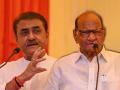 "Sharad Pawar Could Have Been PM in 1996 Itself if…”: Praful Patel’s Big Revelation - Hindi News | "Sharad Pawar Could Have Been PM in 1996 Itself if…”: Praful Patel’s Big Revelation | Latest maharashtra News at Lokmattimes.com