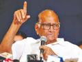 Sharad Pawar Criticizes Centre for Failure to Double Farmers Income by 2024 - Hindi News | Sharad Pawar Criticizes Centre for Failure to Double Farmers Income by 2024 | Latest maharashtra News at Lokmattimes.com