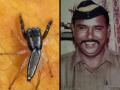New spider species named after martyred ASI Tukaram Omble, who caught Ajmal Kasab alive - Hindi News | New spider species named after martyred ASI Tukaram Omble, who caught Ajmal Kasab alive | Latest maharashtra News at Lokmattimes.com