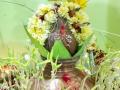 Navratri 2021:Check out how to do Kalash Sthapna vidhi - Hindi News | Navratri 2021:Check out how to do Kalash Sthapna vidhi | Latest lifestyle News at Lokmattimes.com
