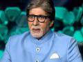 Amitabh Bachchan faces 'bat problem' at his bungalow 'Jalsa' - Hindi News | Amitabh Bachchan faces 'bat problem' at his bungalow 'Jalsa' | Latest entertainment News at Lokmattimes.com
