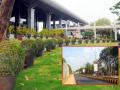 Nagpur airport accelerates beautification work ahead of G-20 summit - Hindi News | Nagpur airport accelerates beautification work ahead of G-20 summit | Latest maharashtra News at Lokmattimes.com