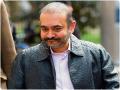 Unable to release money from accounts of Nirav Modi’s firm, banks tell court - Hindi News | Unable to release money from accounts of Nirav Modi’s firm, banks tell court | Latest national News at Lokmattimes.com