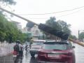 Watch: Traffic Pole Crashes Into Car in Noida's Sector 27 Following Heavy Rain (Watch Video) - Hindi News | Watch: Traffic Pole Crashes Into Car in Noida's Sector 27 Following Heavy Rain (Watch Video) | Latest national News at Lokmattimes.com