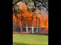 Nottoway Plantation Fire: Massive Blaze Erupts at Mansion in White Castle (Watch Video) - Hindi News | Nottoway Plantation Fire: Massive Blaze Erupts at Mansion in White Castle (Watch Video) | Latest international News at Lokmattimes.com