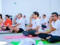International Yoga Day 2023: UAE all set to celebrate 9th International Yoga Day - Hindi News | International Yoga Day 2023: UAE all set to celebrate 9th International Yoga Day | Latest other-sports News at Lokmattimes.com