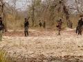 At least 13 Naxals killed in Maharashtra's Gadchiroli, encounter underway - Hindi News | At least 13 Naxals killed in Maharashtra's Gadchiroli, encounter underway | Latest maharashtra News at Lokmattimes.com