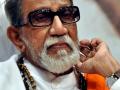 Tree Planted By Late Shiv Sena Founder Bal Thackeray Falls Due To Heavy Rains In Mumbai - Hindi News | Tree Planted By Late Shiv Sena Founder Bal Thackeray Falls Due To Heavy Rains In Mumbai | Latest maharashtra News at Lokmattimes.com
