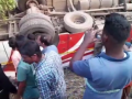 Odisha Bus Accident: Two Killed, Several Injured as OSRTC Bus Overturns in Angul District (Watch Video) - Hindi News | Odisha Bus Accident: Two Killed, Several Injured as OSRTC Bus Overturns in Angul District (Watch Video) | Latest national News at Lokmattimes.com