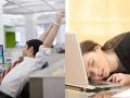 Feeling Sleepy at Work After Lunch? Add These 2 Foods to Your Tiffin to Boost Energy - Hindi News | Feeling Sleepy at Work After Lunch? Add These 2 Foods to Your Tiffin to Boost Energy | Latest lifestyle News at Lokmattimes.com