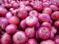 Onion Price in Mumbai: Onion Rates Rise to Rs 100 Per Kg Due to Delay in New Crop - Hindi News | Onion Price in Mumbai: Onion Rates Rise to Rs 100 Per Kg Due to Delay in New Crop | Latest mumbai News at Lokmattimes.com
