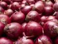 Maharashtra Forms 19-Member Committee to Draft Onion Policy Amid Farmer Crisis - Hindi News | Maharashtra Forms 19-Member Committee to Draft Onion Policy Amid Farmer Crisis | Latest maharashtra News at Lokmattimes.com