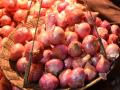 Onion Prices Skyrocket in Nashik Markets Farmers Warn Central Government Against Drastic Measures - Hindi News | Onion Prices Skyrocket in Nashik Markets Farmers Warn Central Government Against Drastic Measures | Latest nashik News at Lokmattimes.com