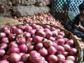 Nashik Farmers Displeased with Government-Imposed Changes in NAFED's Onion Pricing Rules - Hindi News | Nashik Farmers Displeased with Government-Imposed Changes in NAFED's Onion Pricing Rules | Latest nashik News at Lokmattimes.com