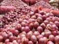 Government Steps Up Buffer Stock Sale to Curb Rising Onion Prices Following Export Duty Removal - Hindi News | Government Steps Up Buffer Stock Sale to Curb Rising Onion Prices Following Export Duty Removal | Latest national News at Lokmattimes.com