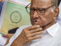 Sharad Pawar asks Ajit Pawar camp to come up with solution in current political scenario - Hindi News | Sharad Pawar asks Ajit Pawar camp to come up with solution in current political scenario | Latest maharashtra News at Lokmattimes.com