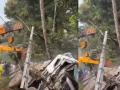 Palakkad Accident: 4 Students Killed, Several Injured After Lorry Carrying Cement Overturns Onto Them in Kalladikkode (Watch Videos) - Hindi News | Palakkad Accident: 4 Students Killed, Several Injured After Lorry Carrying Cement Overturns Onto Them in Kalladikkode (Watch Videos) | Latest national News at Lokmattimes.com