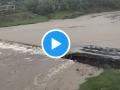 Mumbai Rains: Palghar Bridge Submerged in Deherja river, Causes Traffic Disruption (Watch Video) - Hindi News | Mumbai Rains: Palghar Bridge Submerged in Deherja river, Causes Traffic Disruption (Watch Video) | Latest mumbai News at Lokmattimes.com