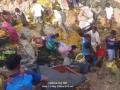 Palghar Accident: Crowd Collects Mangoes After Truck Overturns on Mumbai–Ahmedabad Highway; Video Goes Viral | Latest maharashtra News at www.lokmattimes.com