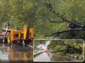 Panchkula–Shimla Highway Traffic Update: Injuries Feared After Huge Tree Falls on School Bus Amid Rains - Hindi News | Panchkula–Shimla Highway Traffic Update: Injuries Feared After Huge Tree Falls on School Bus Amid Rains | Latest national News at Lokmattimes.com