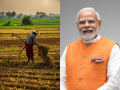 Cabinet Approves PM Dhan-Dhanya Krishi Yojana to Boost Agriculture, Benefit 1.7 Crore Farmers - Hindi News | Cabinet Approves PM Dhan-Dhanya Krishi Yojana to Boost Agriculture, Benefit 1.7 Crore Farmers | Latest national News at Lokmattimes.com