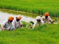 6 Years Of PM KISAN Scheme: 19th Instalment of Rs. 2000 to Be Released on February 24 for Farmers - Hindi News | 6 Years Of PM KISAN Scheme: 19th Instalment of Rs. 2000 to Be Released on February 24 for Farmers | Latest national News at Lokmattimes.com
