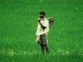 Rs 2,616 crore transferred to over 46 lakh eligible farmers under PM-KISAN scheme - Hindi News | Rs 2,616 crore transferred to over 46 lakh eligible farmers under PM-KISAN scheme | Latest national News at Lokmattimes.com