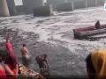 Devotees Take Holy Dip in Polluted Yamuna River at Wazirabad Ghat on Mauni Amavasya (Watch Video) - Hindi News | Devotees Take Holy Dip in Polluted Yamuna River at Wazirabad Ghat on Mauni Amavasya (Watch Video) | Latest national News at Lokmattimes.com