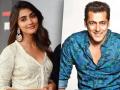 Has Salman Khan found love in actress Pooja Hegde? - Hindi News | Has Salman Khan found love in actress Pooja Hegde? | Latest entertainment News at Lokmattimes.com
