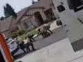 Porterville Firing: California Deputy Killed in Shooting While Serving Eviction Notice (Watch Video) - Hindi News | Porterville Firing: California Deputy Killed in Shooting While Serving Eviction Notice (Watch Video) | Latest international News at Lokmattimes.com