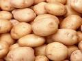Potato Price Hike in Jharkhand: Rate of Vegetable Shoots Up by Rs 5 Per Kg As West Bengal ‘Restricts’ Supply - Hindi News | Potato Price Hike in Jharkhand: Rate of Vegetable Shoots Up by Rs 5 Per Kg As West Bengal ‘Restricts’ Supply | Latest national News at Lokmattimes.com