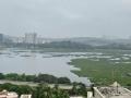 Mumbai: BMC Launches ₹71 Crore Powai Lake Cleanup Drive After Public Outcry - Hindi News | Mumbai: BMC Launches ₹71 Crore Powai Lake Cleanup Drive After Public Outcry | Latest mumbai News at Lokmattimes.com