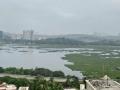 Environmentalists Urge Devotees to Avoid Immersions in Polluted Powai Lake Ahead of Ganeshotsav - Hindi News | Environmentalists Urge Devotees to Avoid Immersions in Polluted Powai Lake Ahead of Ganeshotsav | Latest mumbai News at Lokmattimes.com