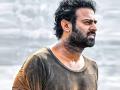 After Shahrukh Khan and Hrithik, Siddharth Anand to direct Prabhas? - Hindi News | After Shahrukh Khan and Hrithik, Siddharth Anand to direct Prabhas? | Latest entertainment News at Lokmattimes.com
