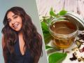 Prajakta Koli Shares Haircare Secret, Here is The DIY Homemade Oil for Silky, Strong Hair - Hindi News | Prajakta Koli Shares Haircare Secret, Here is The DIY Homemade Oil for Silky, Strong Hair | Latest lifestyle News at Lokmattimes.com