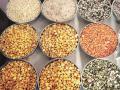 Pulses price hike: Tur dal rate increases; check details - Hindi News | Pulses price hike: Tur dal rate increases; check details | Latest national News at Lokmattimes.com