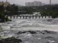 Three siblings drowned in stagnant water, while playing in rain - Hindi News | Three siblings drowned in stagnant water, while playing in rain | Latest pune News at Lokmattimes.com