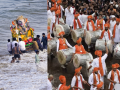 Ganeshotsav 2025: Pune Mandals Debate ‘One Troupe, One Mandal’ Rule for Immersion Procession - Hindi News | Ganeshotsav 2025: Pune Mandals Debate ‘One Troupe, One Mandal’ Rule for Immersion Procession | Latest pune News at Lokmattimes.com