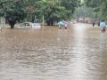 Torrential Rains Cause Havoc in Pune: Buildings and Roads Submerged, Helpline Numbers Issued - Hindi News | Torrential Rains Cause Havoc in Pune: Buildings and Roads Submerged, Helpline Numbers Issued | Latest pune News at Lokmattimes.com