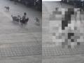 Pune: Stray Dogs Attack Boy While Playing in Society; Shocking CCTV Footage Goes Viral - Hindi News | Pune: Stray Dogs Attack Boy While Playing in Society; Shocking CCTV Footage Goes Viral | Latest pune News at Lokmattimes.com