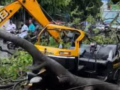 Pune: 76-Year-Old Woman Killed After Tree Falls on Rickshaw; Second Such Incident in 3 Days - Hindi News | Pune: 76-Year-Old Woman Killed After Tree Falls on Rickshaw; Second Such Incident in 3 Days | Latest pune News at Lokmattimes.com
