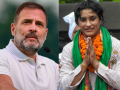 Haryana Assembly Election 2024: Rahul Gandhi, Vinesh Phogat Among Congress's 40 Star Campaigners for Upcoming Polls - Hindi News | Haryana Assembly Election 2024: Rahul Gandhi, Vinesh Phogat Among Congress's 40 Star Campaigners for Upcoming Polls | Latest national News at Lokmattimes.com