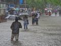 Heavy rains continue to wreak havoc in Vidarbha; 29 fatalities reported in four days - Hindi News | Heavy rains continue to wreak havoc in Vidarbha; 29 fatalities reported in four days | Latest maharashtra News at Lokmattimes.com