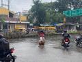 Nashik Faces Rain Shortfall Despite Monsoon Surge, Receives Only 279 mm - Hindi News | Nashik Faces Rain Shortfall Despite Monsoon Surge, Receives Only 279 mm | Latest nashik News at Lokmattimes.com
